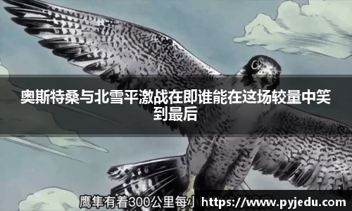 奥斯特桑与北雪平激战在即谁能在这场较量中笑到最后